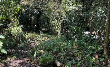 Terreno en Mindo