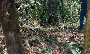Terreno en Mindo