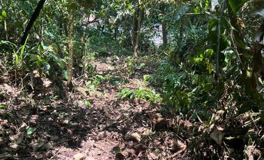 Terreno en Mindo