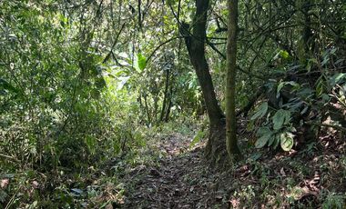 Terreno en Mindo