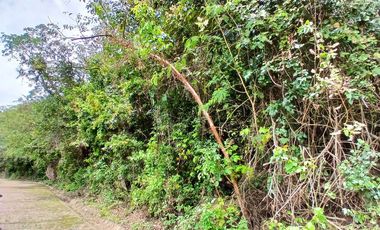 LOTE EN VENTA SECTOR PARCELACION LA VULETA AL RIO FUSAGASUGA