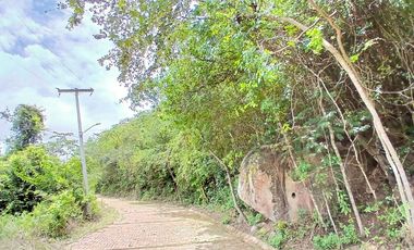 LOTE EN VENTA SECTOR PARCELACION LA VULETA AL RIO FUSAGASUGA