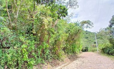 LOTE EN VENTA SECTOR PARCELACION LA VULETA AL RIO FUSAGASUGA