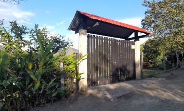 VENTA FINCA PRODUCTIVA LA CUMBRE
