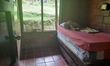 VENTA FINCA PRODUCTIVA LA CUMBRE