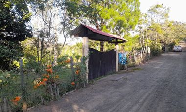 VENTA FINCA PRODUCTIVA LA CUMBRE