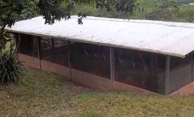 VENTA FINCA PRODUCTIVA LA CUMBRE