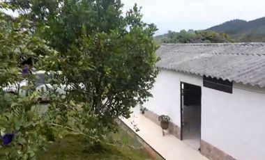 VENTA FINCA PRODUCTIVA LA CUMBRE