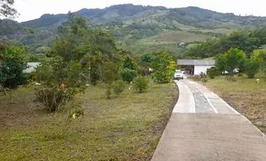 VENTA FINCA PRODUCTIVA LA CUMBRE