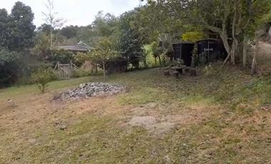 VENTA FINCA PRODUCTIVA LA CUMBRE