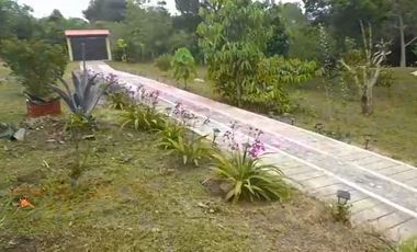 VENTA FINCA PRODUCTIVA LA CUMBRE