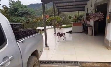 VENTA FINCA PRODUCTIVA LA CUMBRE