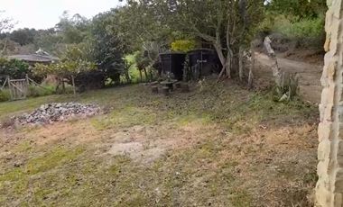 VENTA FINCA PRODUCTIVA LA CUMBRE