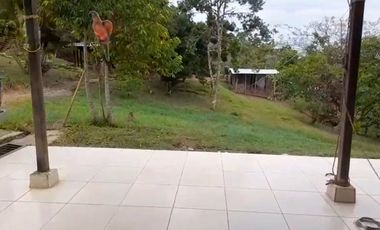 VENTA FINCA PRODUCTIVA LA CUMBRE