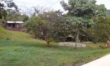 VENTA FINCA PRODUCTIVA LA CUMBRE