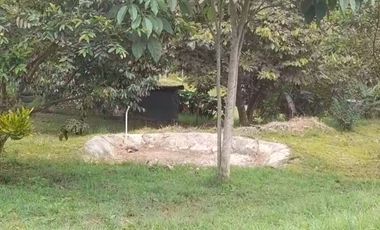 VENTA FINCA PRODUCTIVA LA CUMBRE