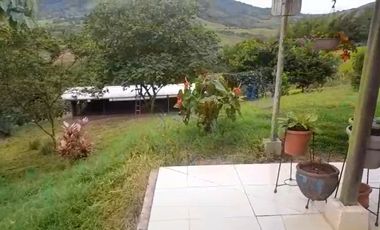 VENTA FINCA PRODUCTIVA LA CUMBRE