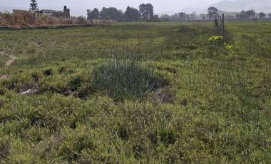 SE VENDE TERRENO DE 17,212 M2, PARA CASA DE CAMPO O PROYECTO EN BUJAMA, MALA, CAÑETE