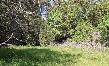SE VENDE TERRENO DE 17,212 M2, PARA CASA DE CAMPO O PROYECTO EN BUJAMA, MALA, CAÑETE