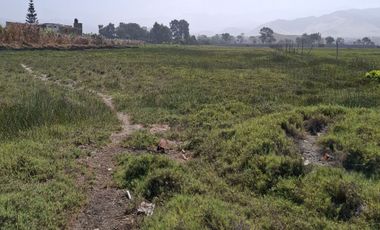 SE VENDE TERRENO DE 17,212 M2, PARA CASA DE CAMPO O PROYECTO EN BUJAMA, MALA, CAÑETE