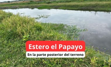 Terreno en venta, Vía al Pan - Yaguachi