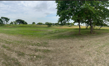 Terreno en venta, Vía al Pan - Yaguachi