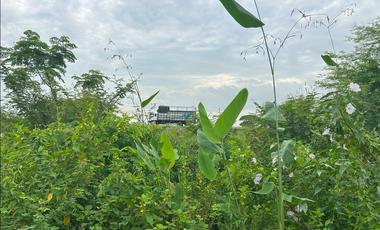 Terreno en venta, Vía al Pan - Yaguachi