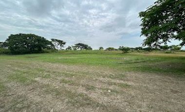 Terreno en venta, Vía al Pan - Yaguachi