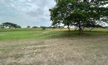 Terreno en venta, Vía al Pan - Yaguachi