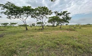 Terreno en venta, Vía al Pan - Yaguachi