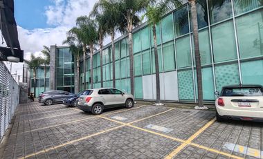 Renta departamento planta baja con 2 jardines | Cholula, Puebla