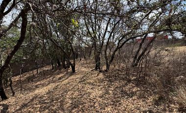 TERRENOS EN VENTA HARAS DEL BOSQUE FRACCIONAMIENTO ACRES SANTA CRUZ JOYA