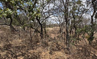 TERRENOS EN VENTA HARAS DEL BOSQUE FRACCIONAMIENTO ACRES SANTA CRUZ JOYA