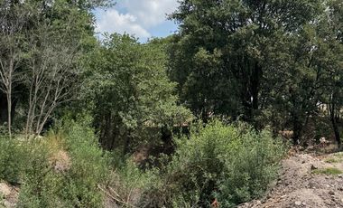 TERRENOS EN VENTA HARAS DEL BOSQUE FRACCIONAMIENTO ACRES SANTA CRUZ JOYA