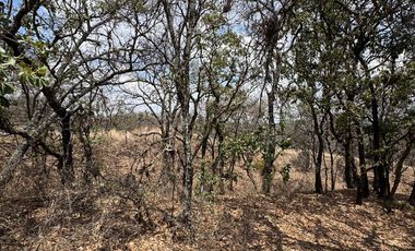 TERRENOS EN VENTA HARAS DEL BOSQUE FRACCIONAMIENTO ACRES SANTA CRUZ JOYA