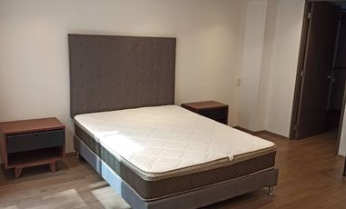 RENTA DE DEPARTAMENTO AMUEBLADO PH GOLDSMITH