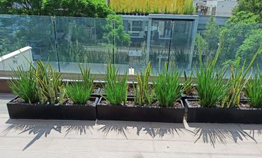 RENTA DE DEPARTAMENTO AMUEBLADO PH GOLDSMITH