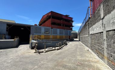 Industrial Lot for Sale in Parañaque City