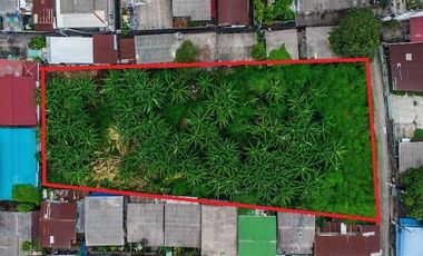แปลงใหญ่และสวยแบบนี้หายากแล้ว!! ขายที่ดินเปล่า 520 ตรว ในซอยวุฒากาศ36 ผังเมืองส้ม อยู่ในแหล่งชุมชน ห่างจากปากซอย เพียง 400เมตร เหมาะทำบ้านอยู่อาศัย หร