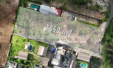 Freehold land sale 2850m² - Bingin Pecatu Bali
