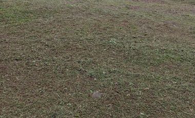 SE VENDE LOTE EN MEDIO DAPA
