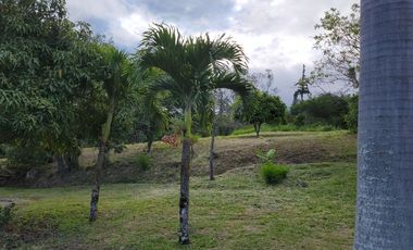 Vendo QUINTA en Santa Isabel