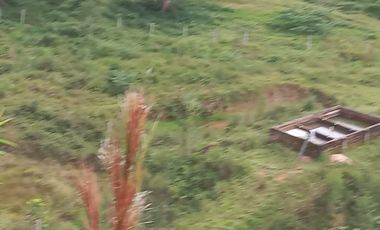 Venta Finca Ganadera San José del Nús San Roque Antioquia