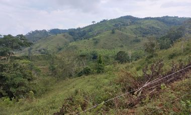 Venta Finca Ganadera San José del Nús San Roque Antioquia