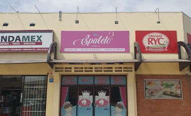 SE TRASPASA NEGOCIO DE SPA FIESTAS INFANTILES PUEBLA