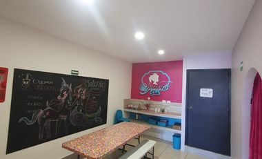 SE TRASPASA NEGOCIO DE SPA FIESTAS INFANTILES PUEBLA