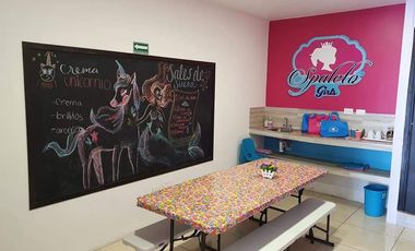SE TRASPASA NEGOCIO DE SPA FIESTAS INFANTILES PUEBLA