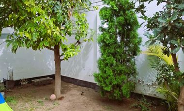 Vendo casa primer y segundo piso, con jardin en Matellini, 4 hab. 164 m2