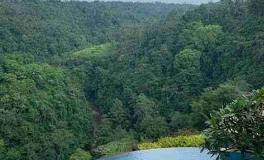 *BISA AJB FOR SALE : RIJASA AGUNG RESORT-DESA BANJAR BEGAWAN PAYANGAN UBUD – BALI*