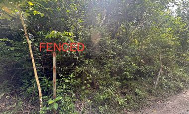 FOR SALE - LOT ONLY 462SQM RESIDENTIAL IN SAN ISIDRO, TAGBILARAN CITY, BOHOL. FEW STEPS AWAY TO MAIN HI-WAY/ROAD. WITH CLEAN TITLE.